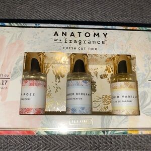 ILLUME Perfume Trio/ Honey Rose/Wildflower Bergamot/Orchid Vanille 0.17ea New